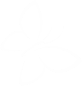 hero10 shape hero10 shape